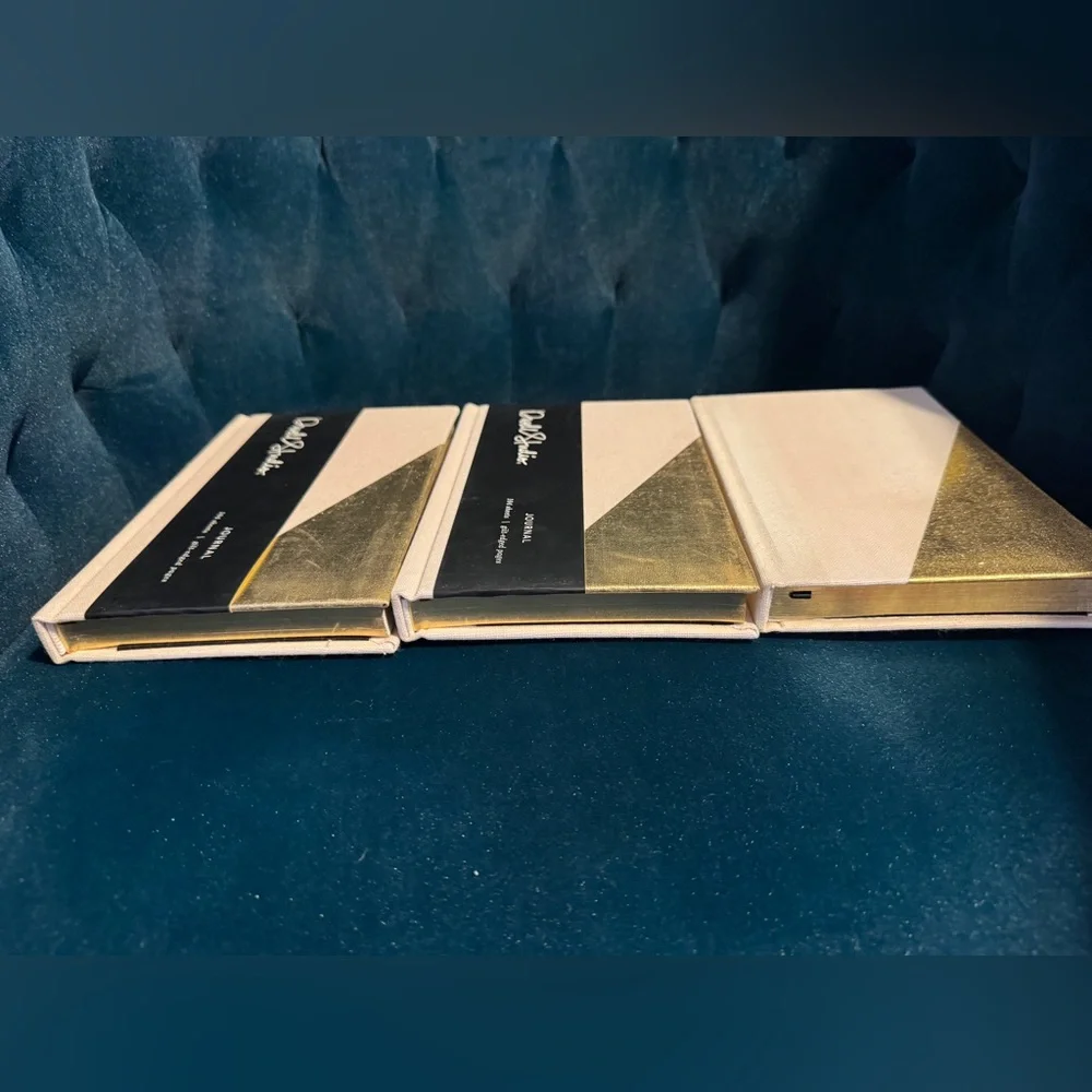 Dwell Studio Gold Leaf Gilt Edge Dot Grid Gold Light Pink Set of 3 Journals NEW